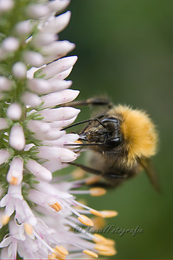 Eten_9395-1-border