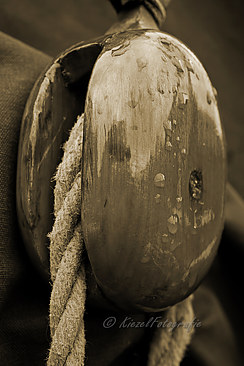 IMG_7708_sepia-border