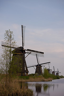 Kinderdijk_molens_7019-border