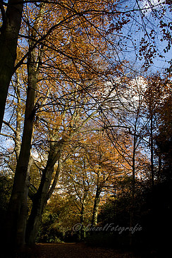 _MG_4380_bewerkt-1-border